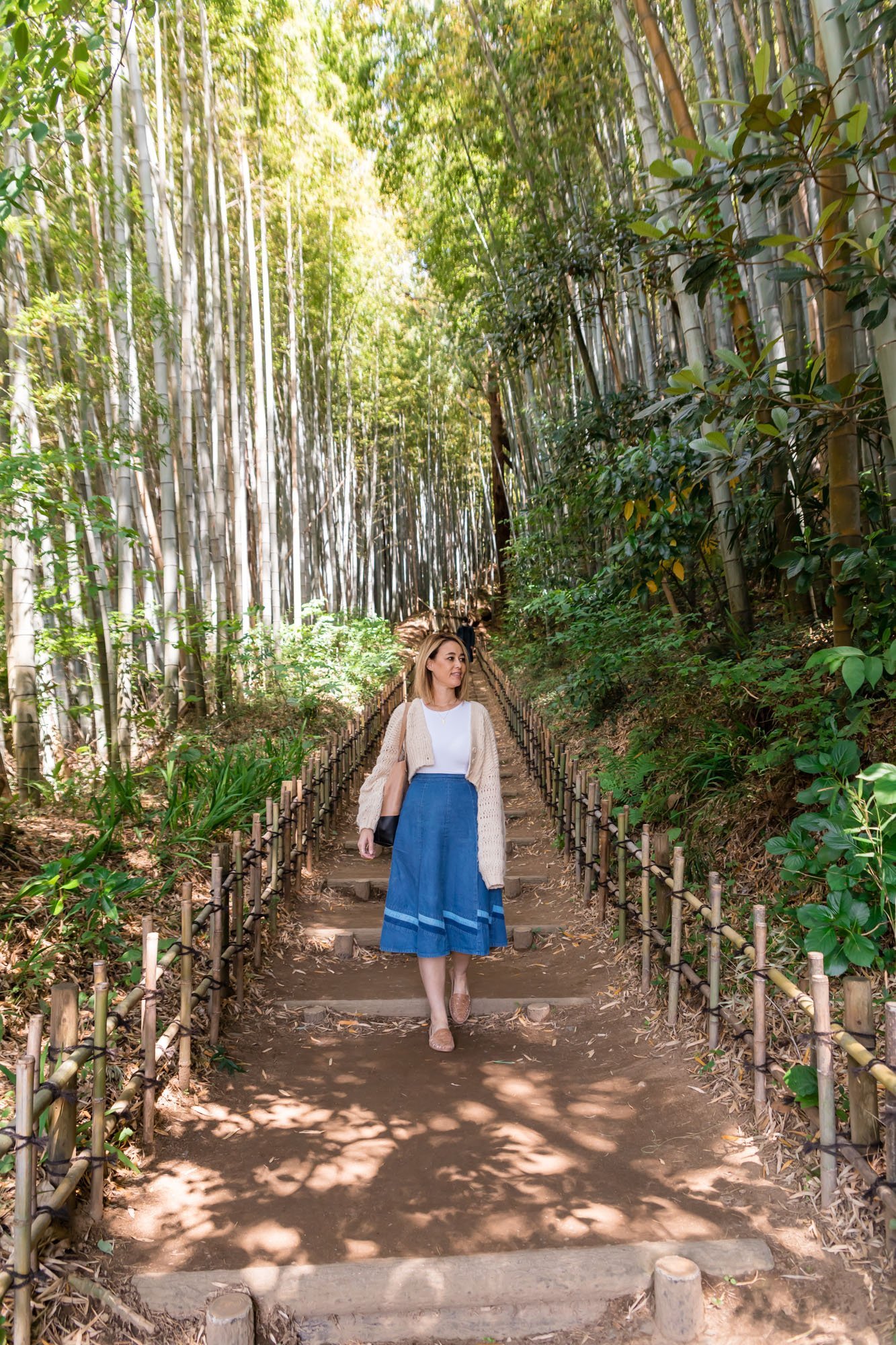 🎍 직박구리 언덕 (히요도리자카) 이미지 8